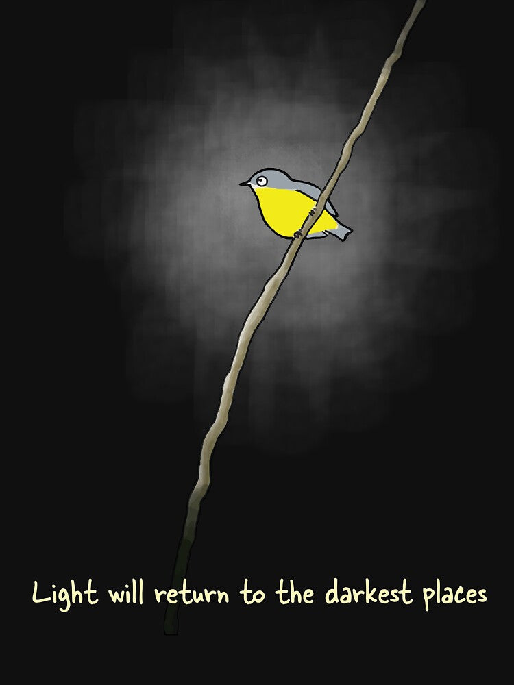 Light will return - Raising funds for the Environmental Defenders Office of Australia by Paula Peeters