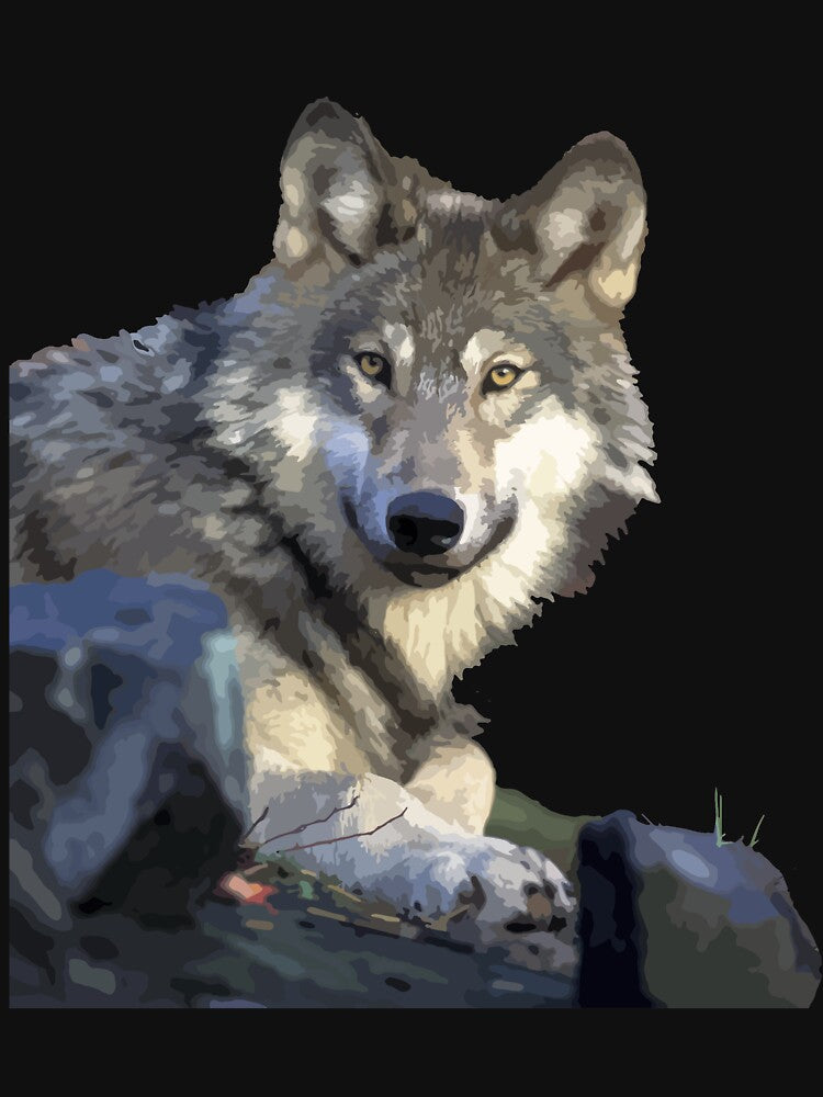 Wolf T-Shirt for Men and Women by AllStarMerch