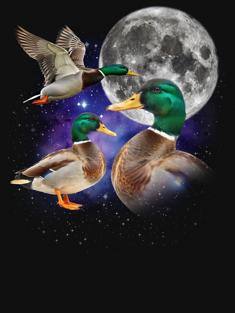 Three Duck Retro Graphic by JamesDriggers