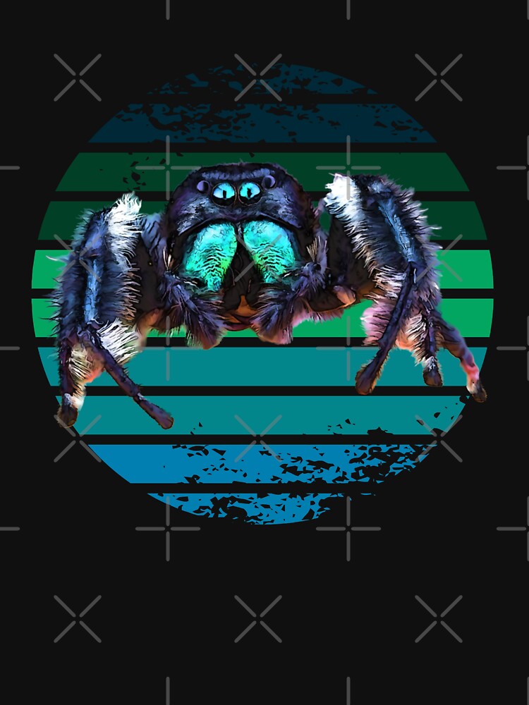 Grunge Striped Male Regal Jumping Spider by Zurickdesigns