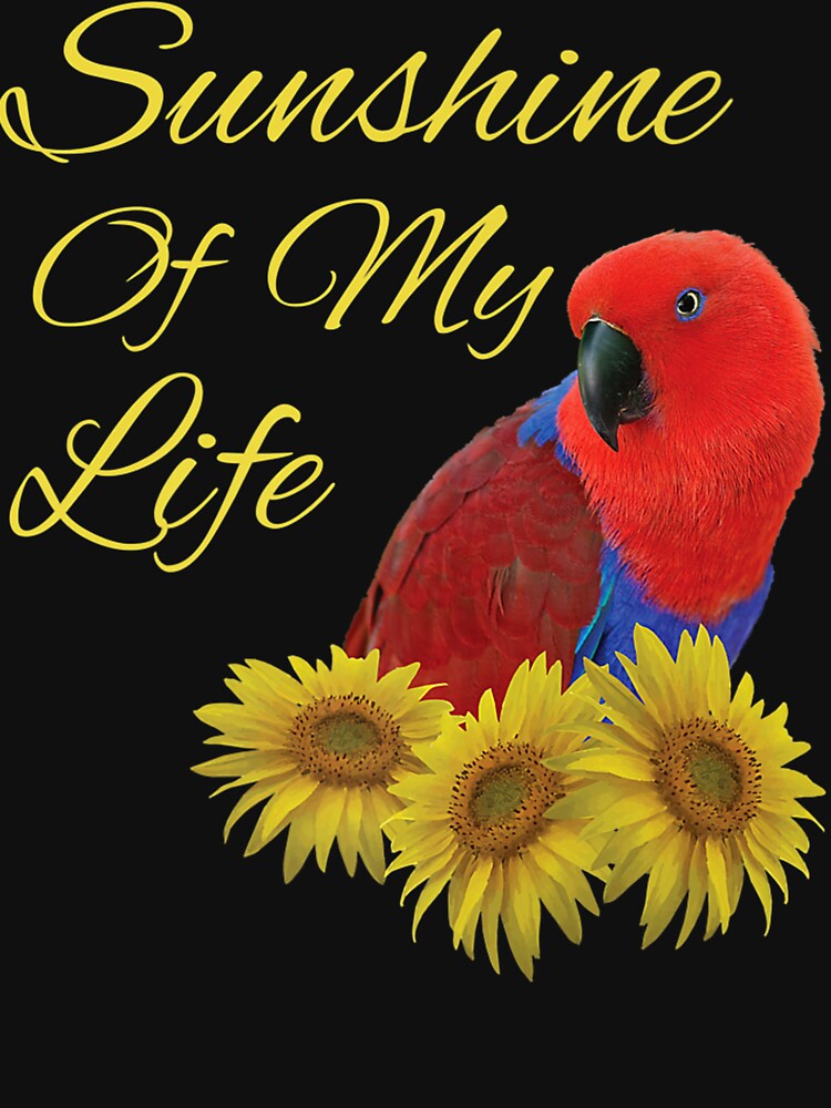 Eclectus Parrot, Female, Sunshine Sunflower Premium by stirkzdhohne