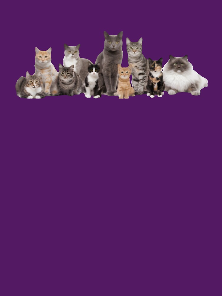 Jade Cat - FROM TV Show Meme Tee by RiverFF