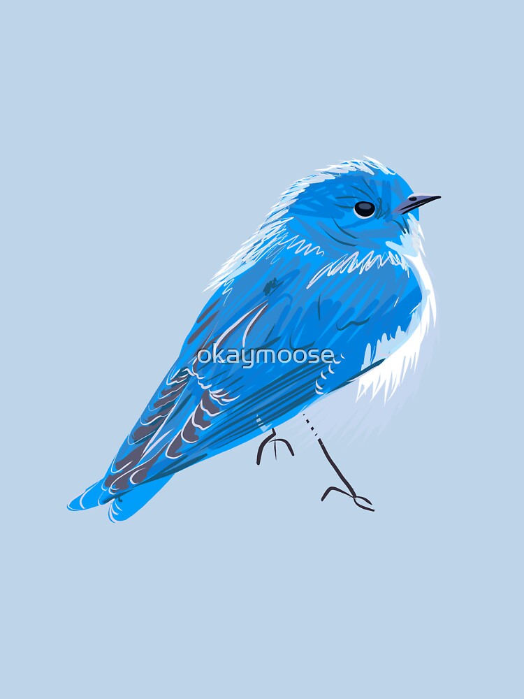 Mountain Bluebird by okaymoose