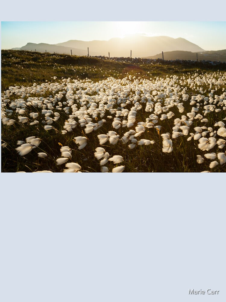Cotton Grass by Marie Carr