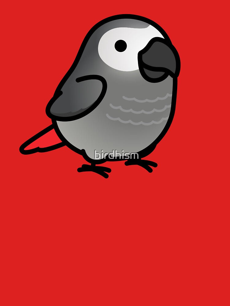 Chubby African Grey by birdhism