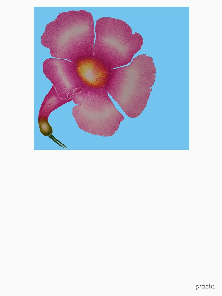 Pink flower 1 by pracha