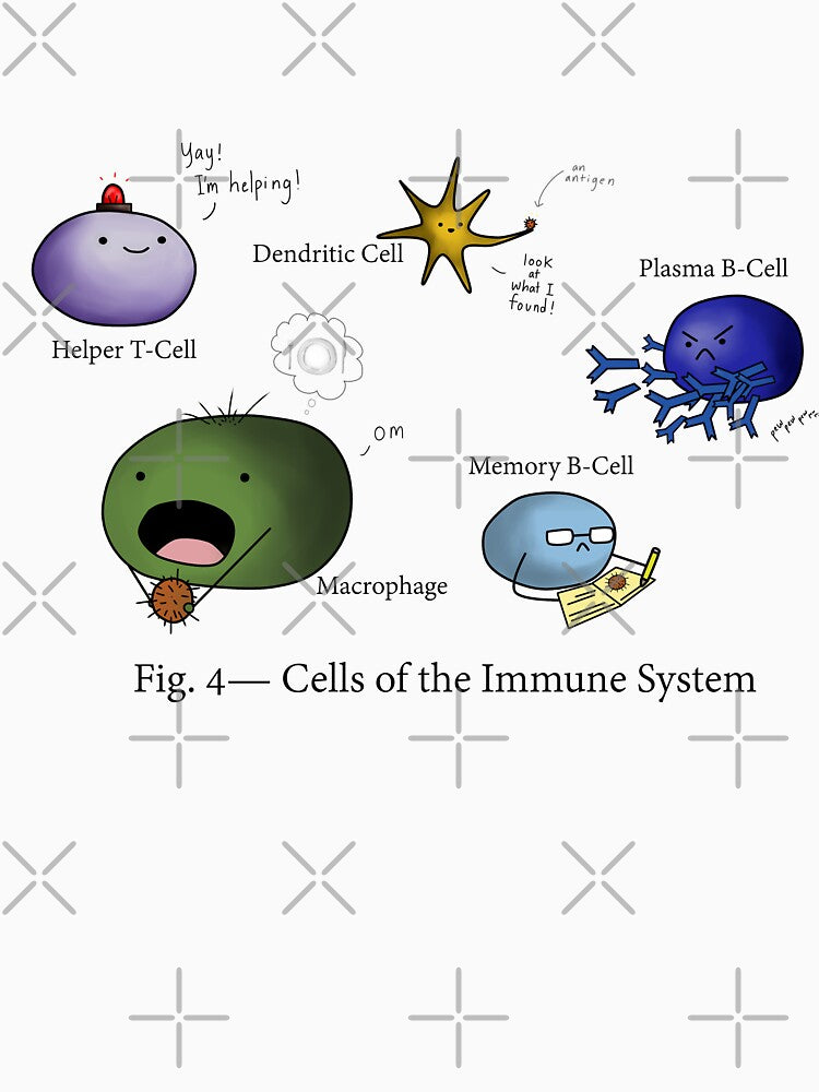 Cells of the Immune System by AthenaBird