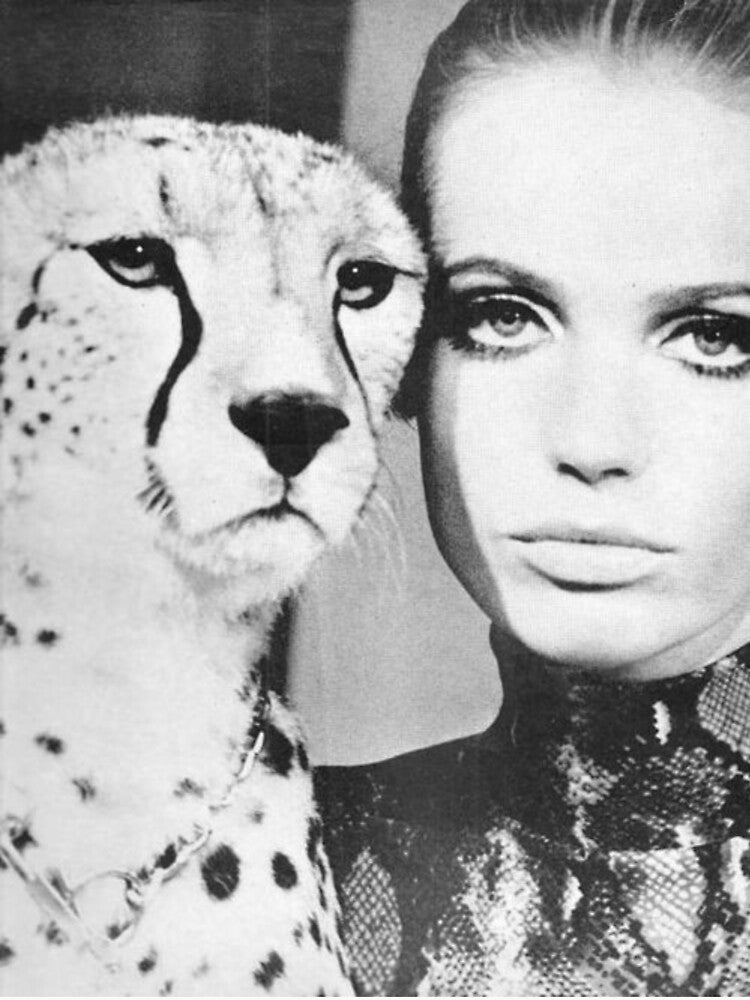 Veruschka : Cheetah I by ♡ T R I N A  ♡