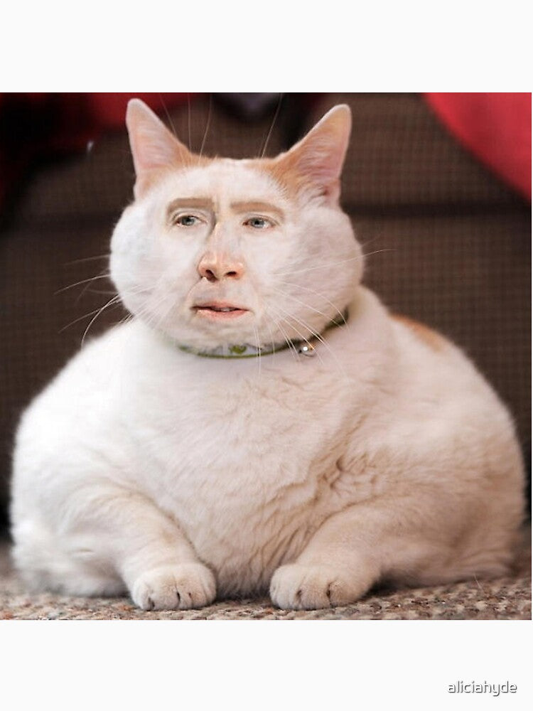 Nicolas Cage Cat by aliciahyde