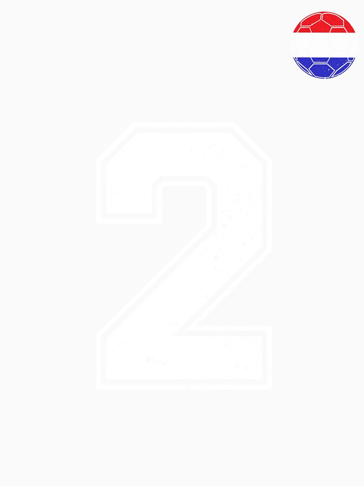 Netherlands Soccer Number 2 Vintage Sports Fan by LiviuGligoros