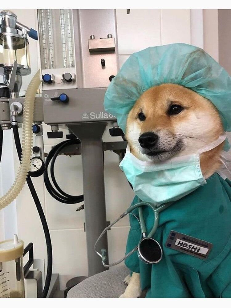 doctor shiba dog by ParamedicDesign