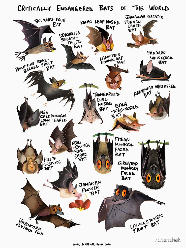 Critically Endangered Bats of the World by Green Humour