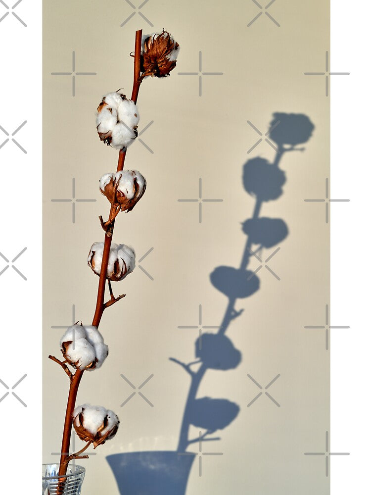 cotton sprig by IgorKovalenko