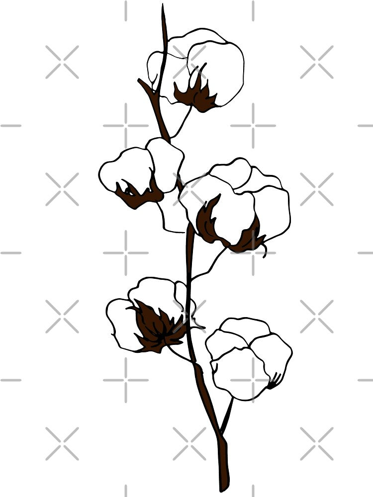 cotton by wildmagnolia