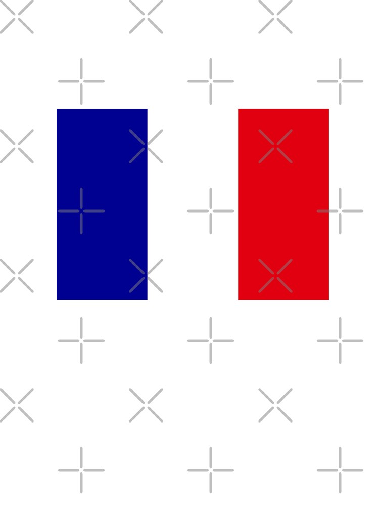 france flag by LiteratiOnline