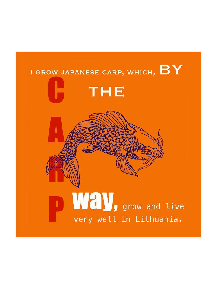 Grateful Japanese carp by Kater1naart