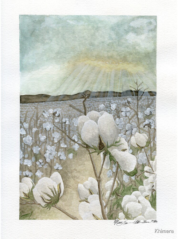 Cotton Sunset by Delta Colors