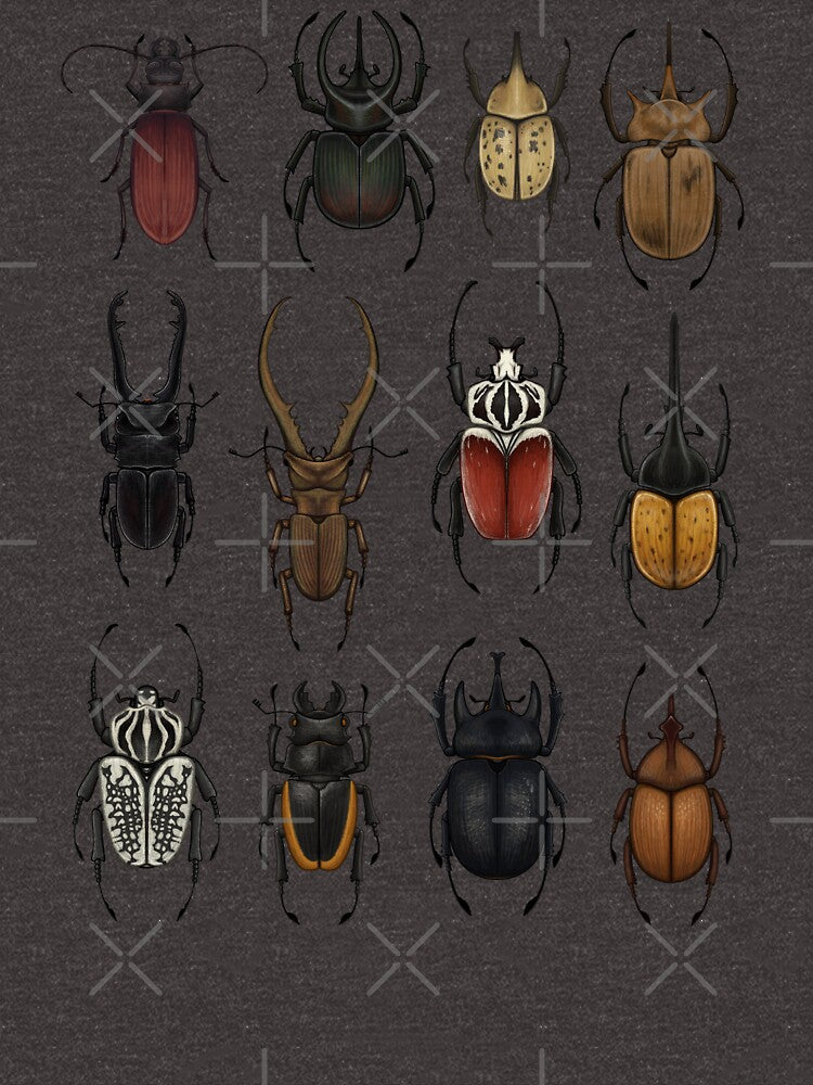 Large Beetles by Tacky Frog