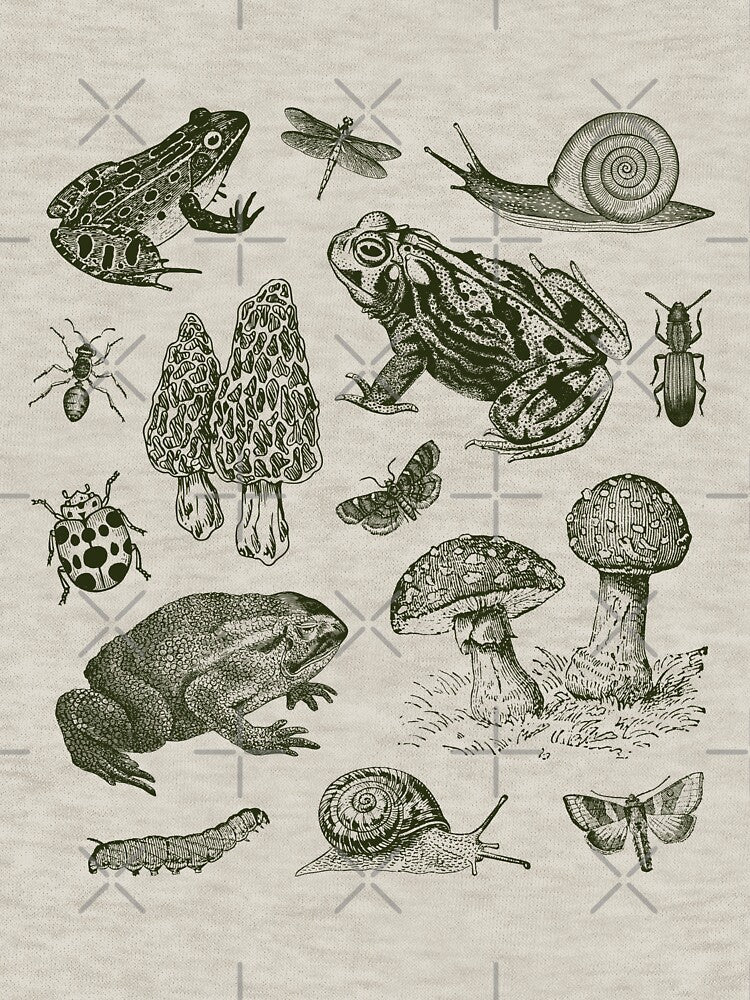Goblincore Nature Lovers: Vintage Biology of Frogs, Mushrooms, Snails, and Moths for Science and Natural History Fan by MinistryOfFrogs