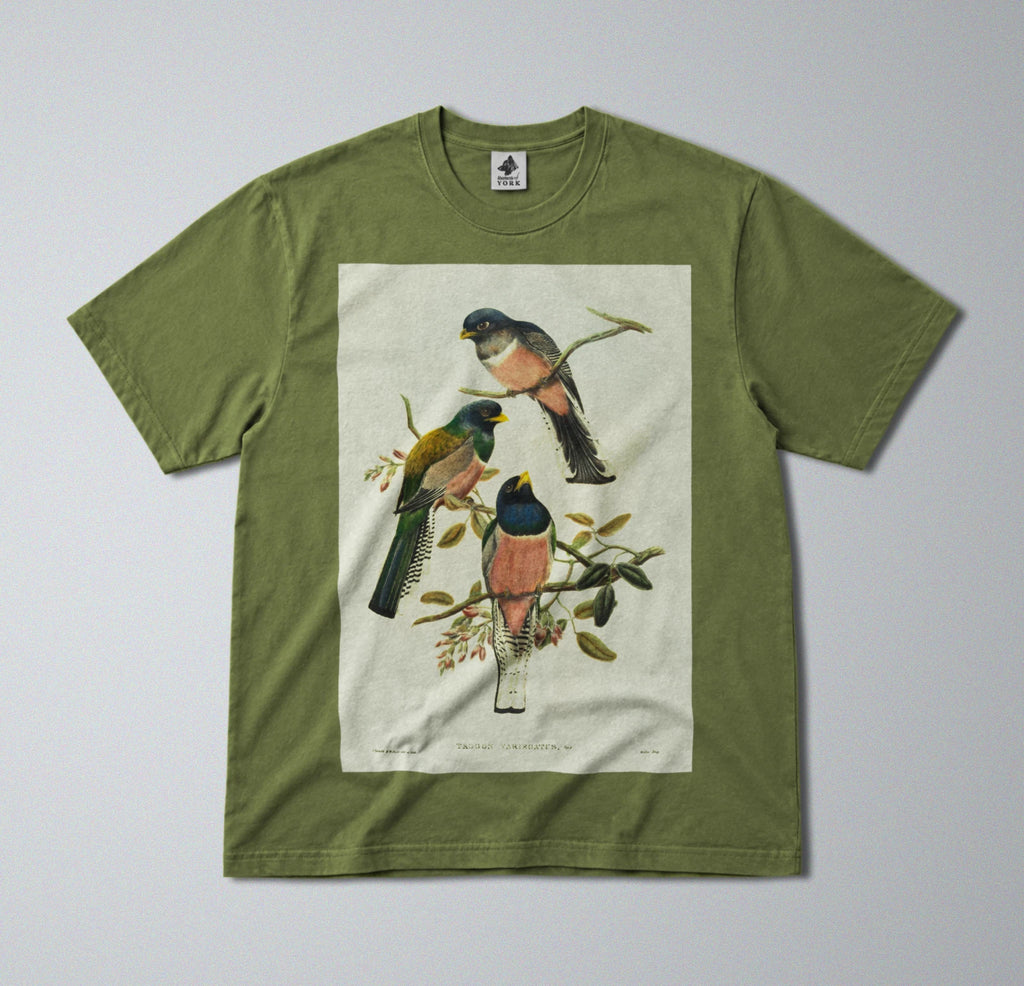 100% Cotton Tee - Regular Fit - Unisex - Colorful Perching Birds Print