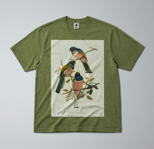 100% Cotton Tee - Regular Fit - Unisex - Colorful Perching Birds Print