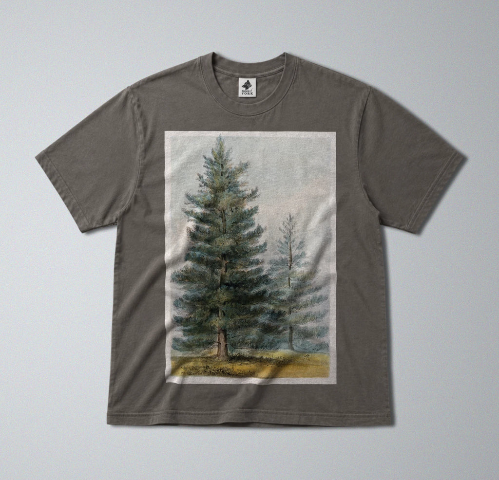 100% Cotton Tee - Regular Fit - Unisex - Pine tree Print - Woodland & Forest art
