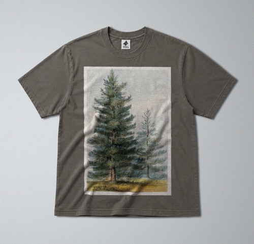 100% Cotton Tee - Regular Fit - Unisex - Pine tree Print - Woodland & Forest art