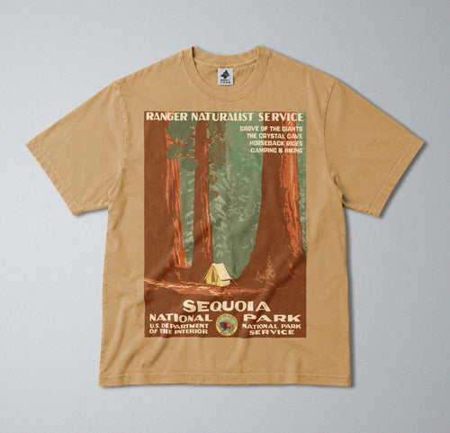 100% Cotton Tee - Regular Fit - Unisex - Sequoia National Park - USA Landscapes