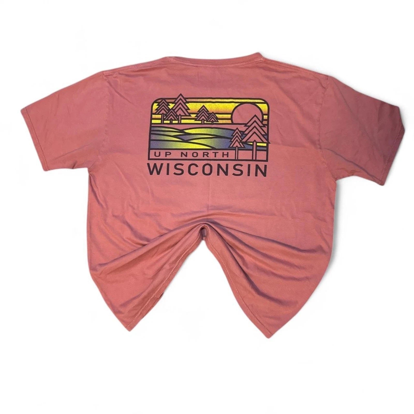 Blue84 VTG 2000s RARE Wisconsin Up North Soft Salmon Graphic Tee — LARGE