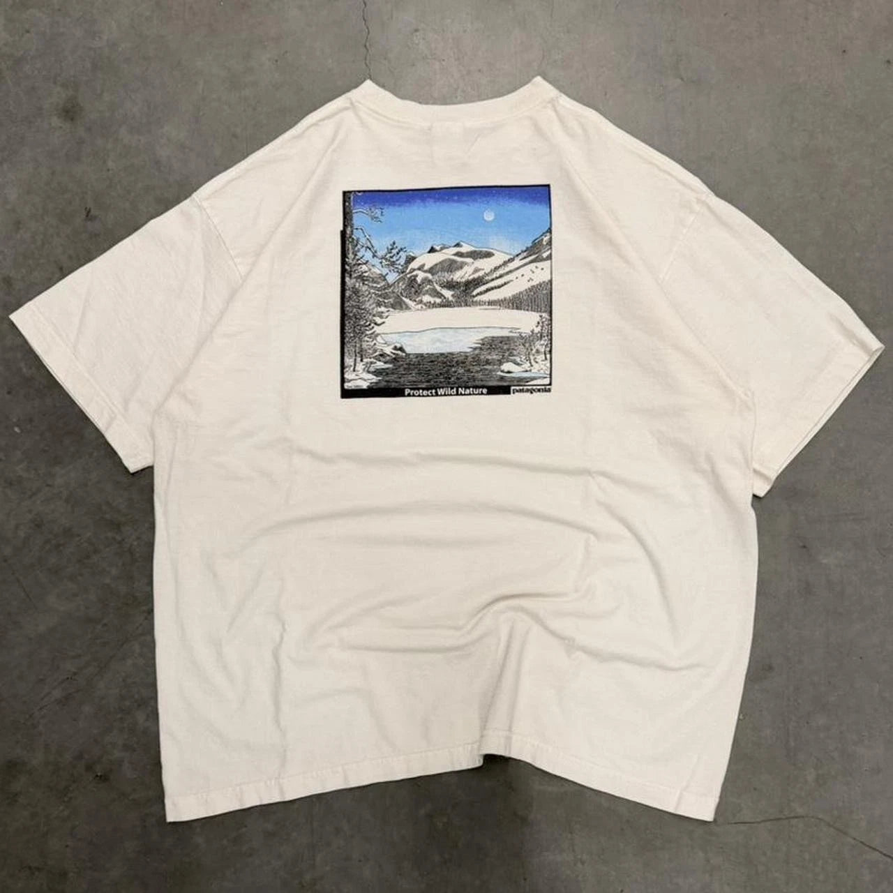 Vintage Patagonia Protect Wild Nature Tom Killion Graphic Tshirt Size XL