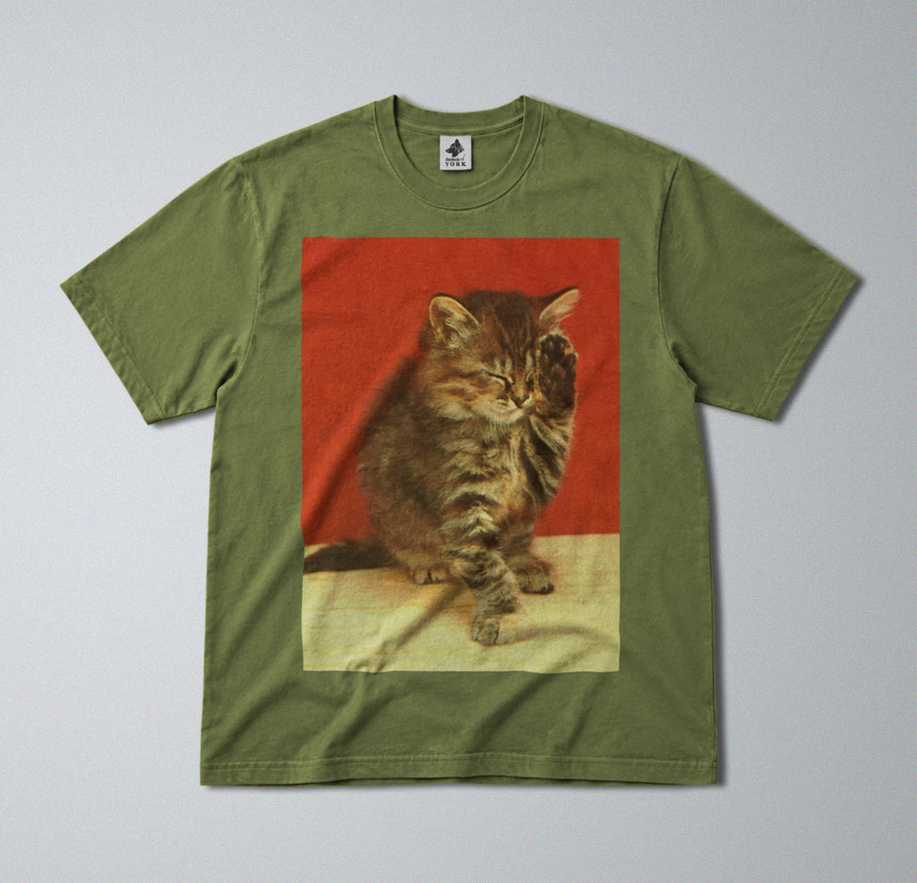 100% Cotton Tee - Regular Fit - Unisex -  Cute Sleepy cat - Adorable Animal