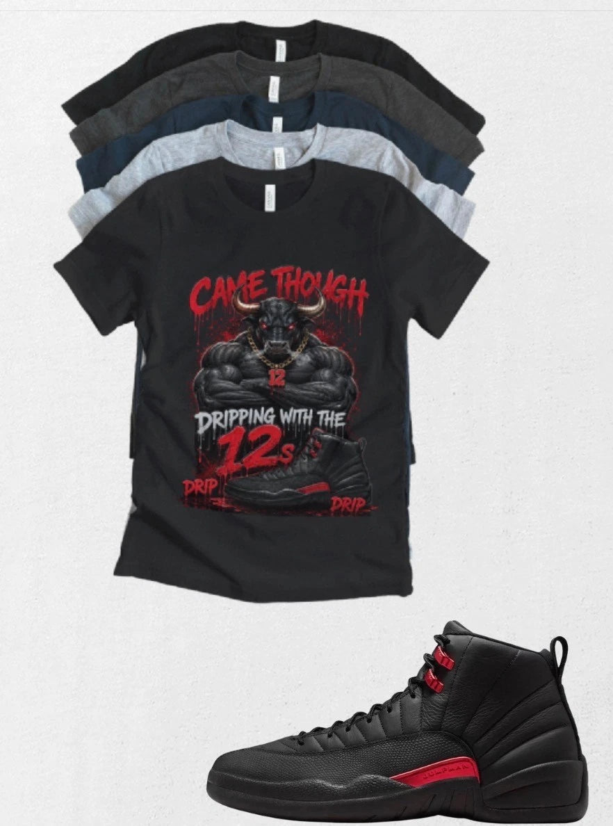 Shirt to match Jordan 12 Bloodline AJ12 Came through Matching Tee Streetwear