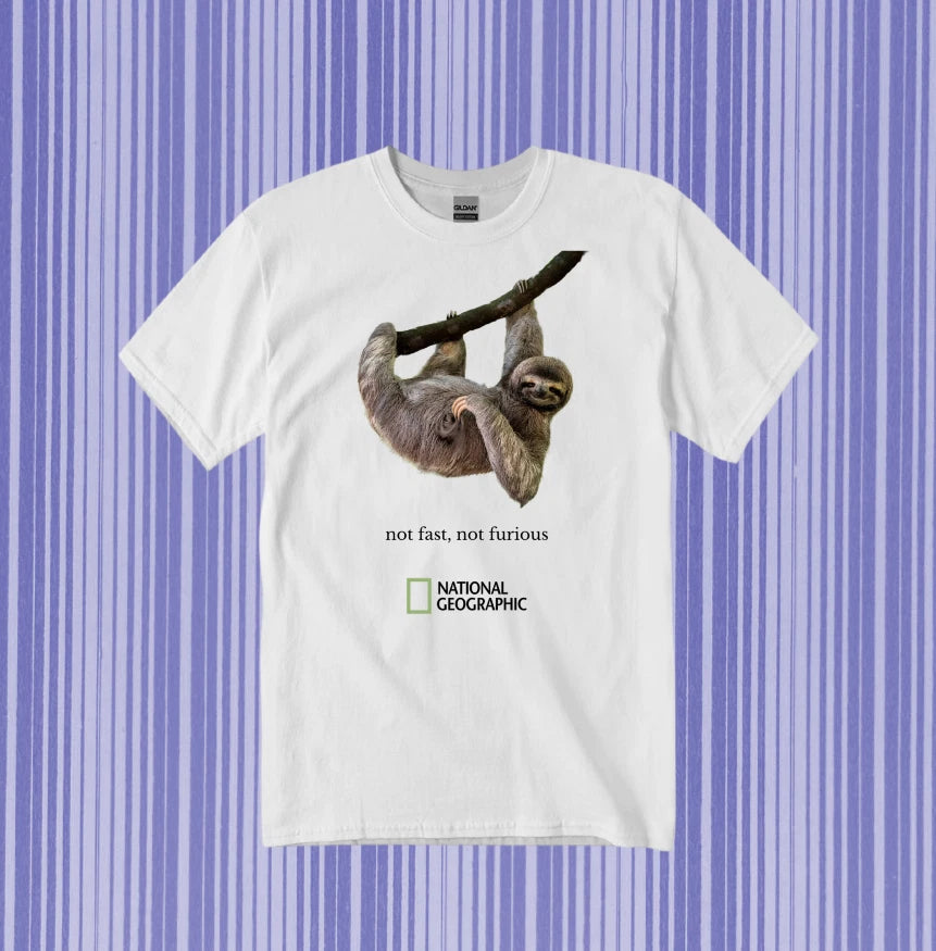 Vintage animal Nat Geo inspired 'not fast, not furious' Sloth Tee New, Gildan M