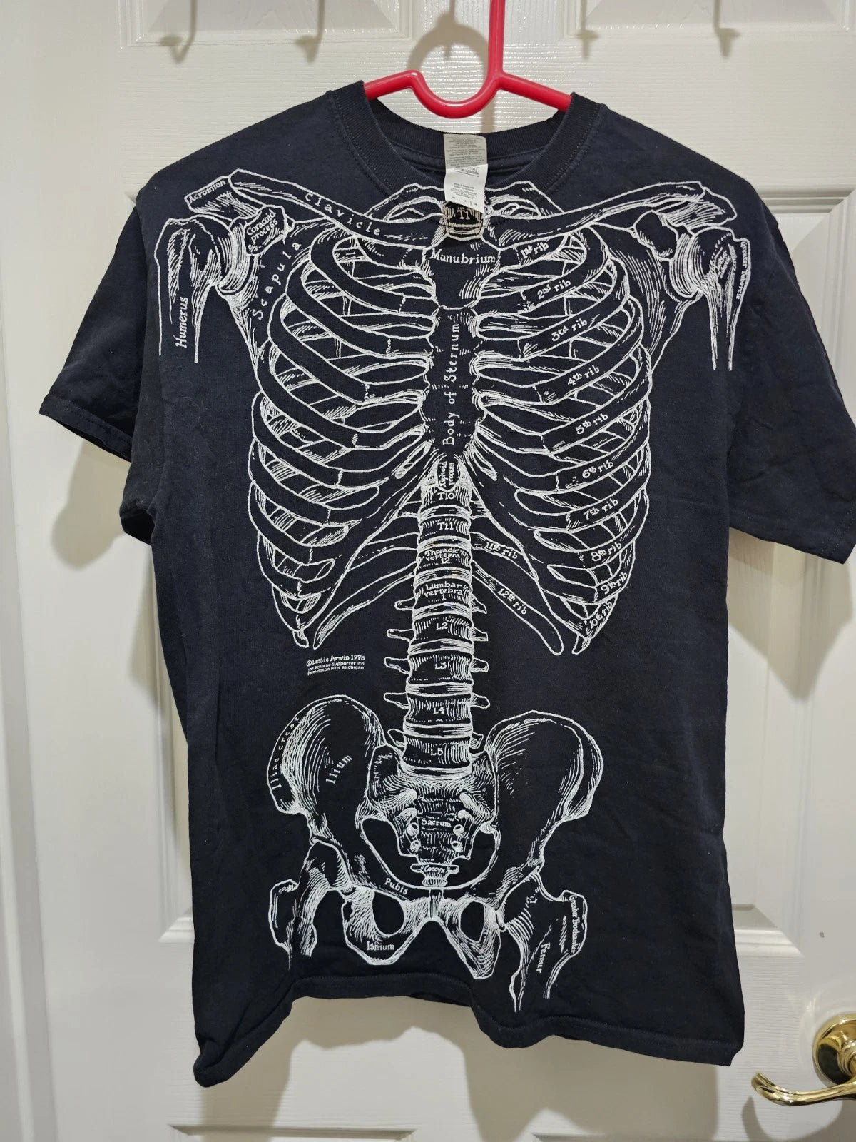 Vtg Leslie Arwin Art Skeleton Anatomy Shirt AOP Single Stitch Made in mexico