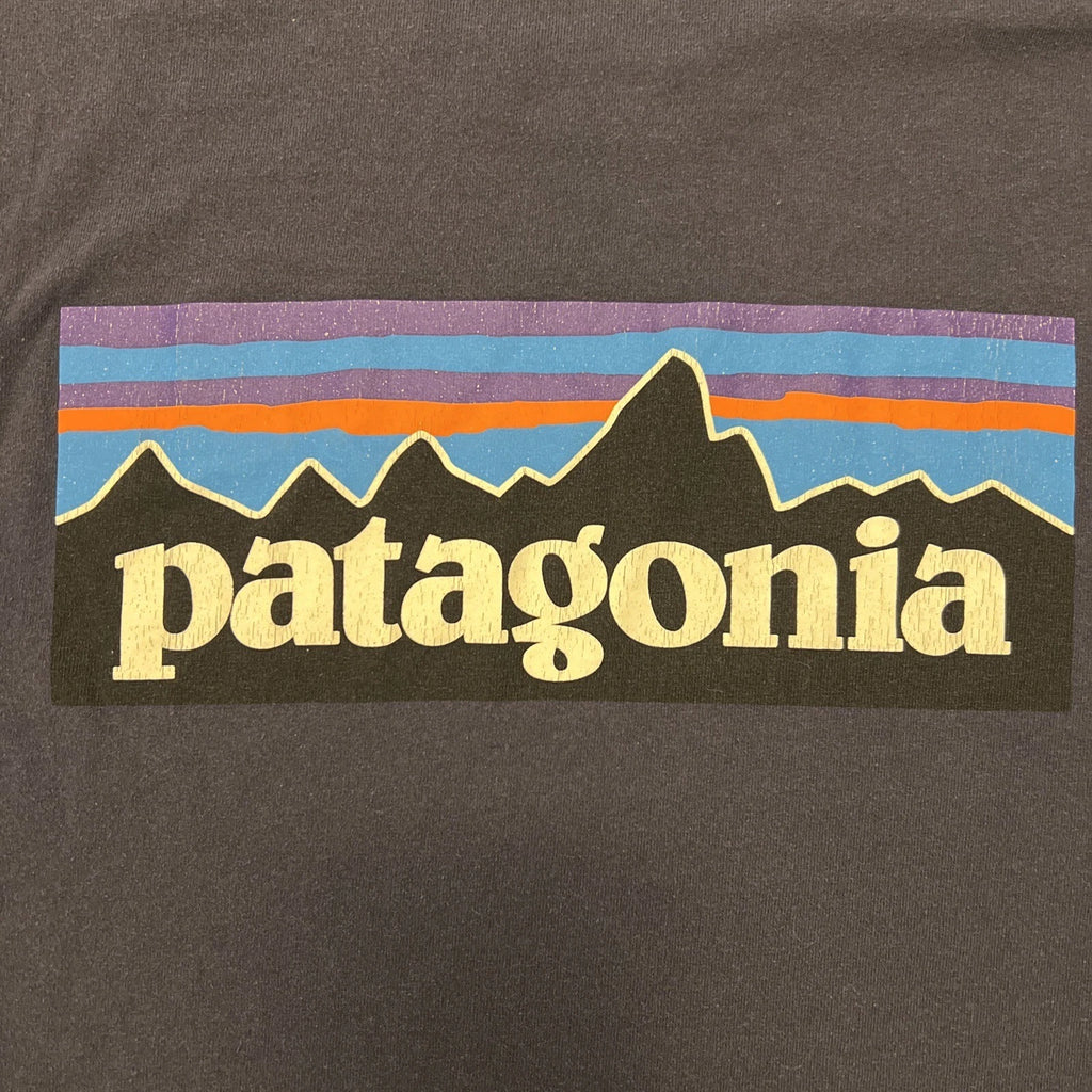 Patagonia Simple Brand Logo On Back, Small Logo Front Shirt Medium Blue Vintage