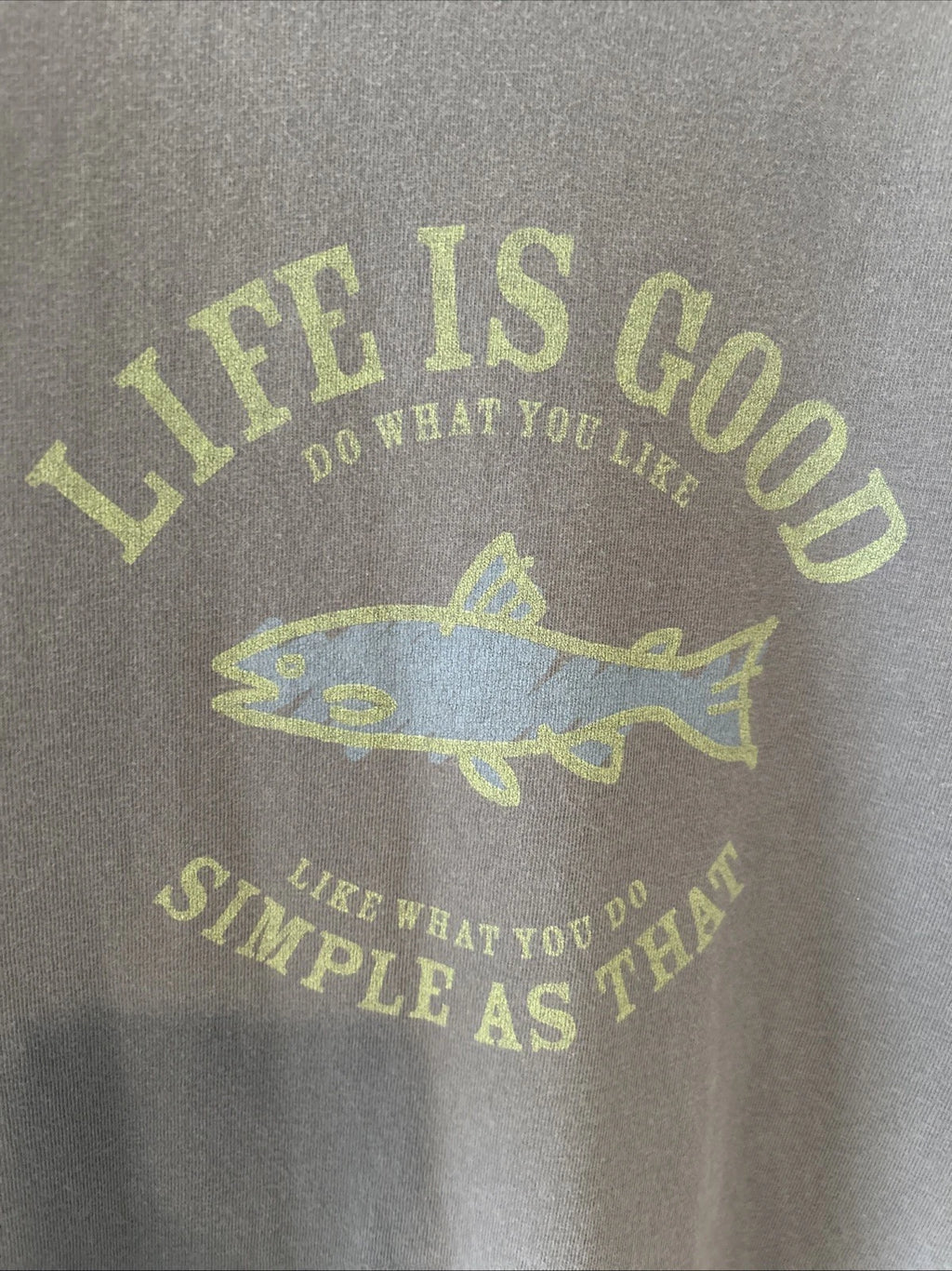 Life Is Good  Gray Fish Simple as that t Shirt Mens lg