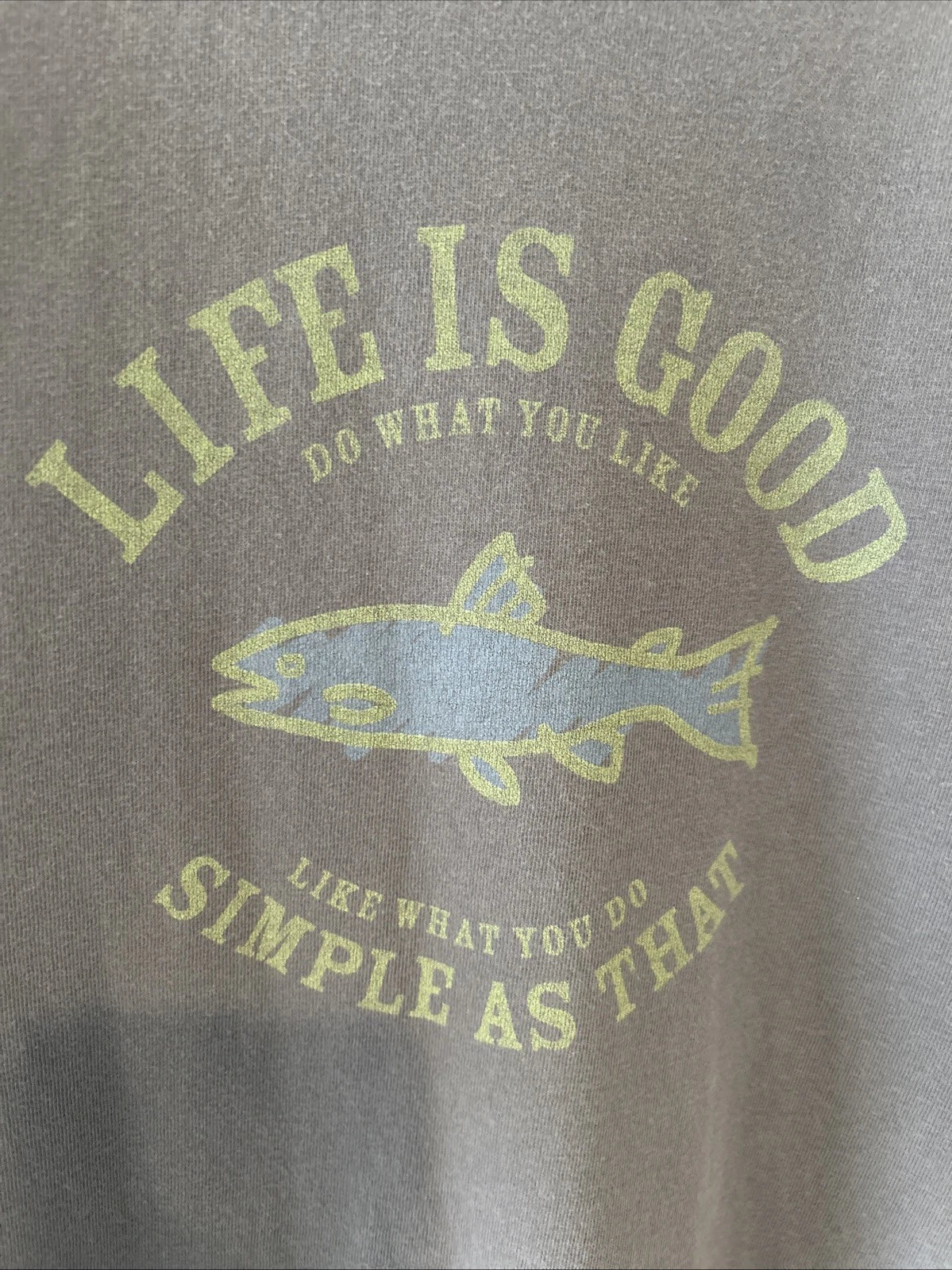 Life Is Good  Gray Fish Simple as that t Shirt Mens lg