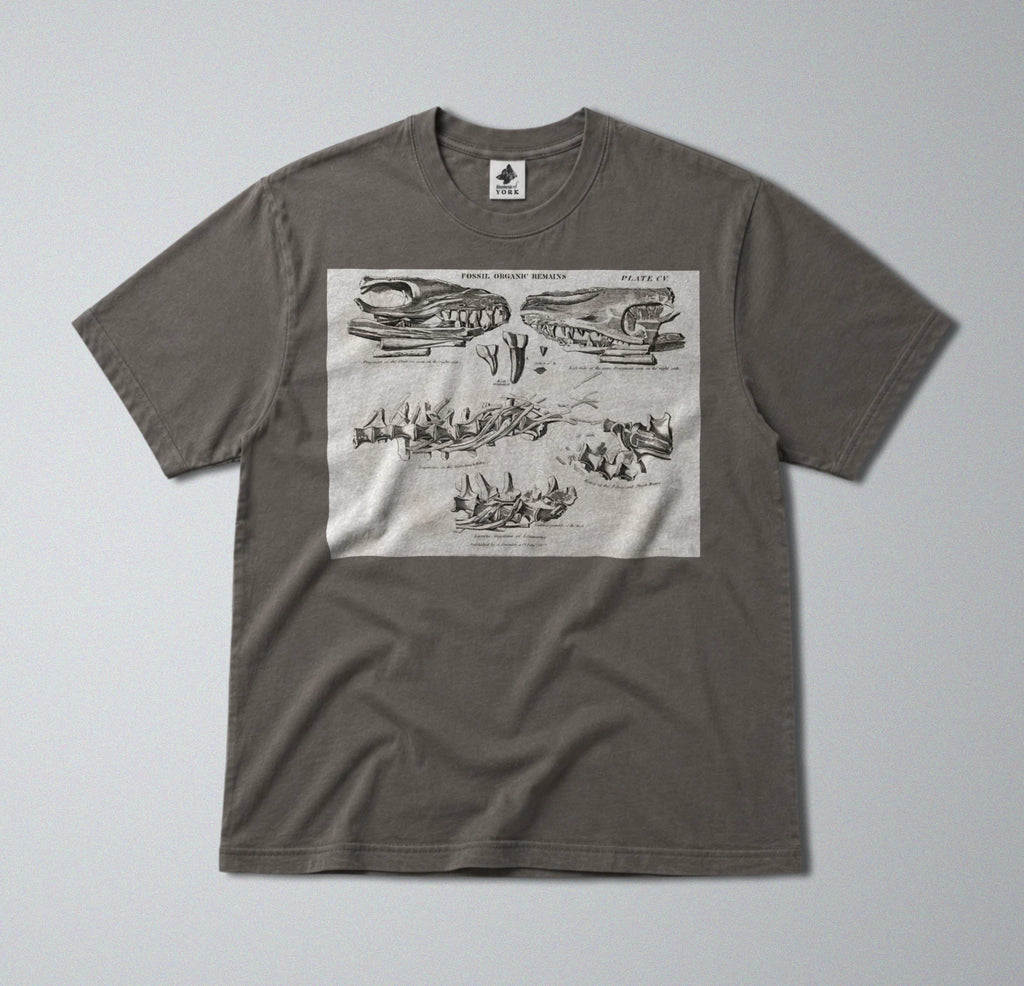 100% Cotton Tee - Regular Fit - Unisex - Prehistoric Mosasaurus Skull Fossil