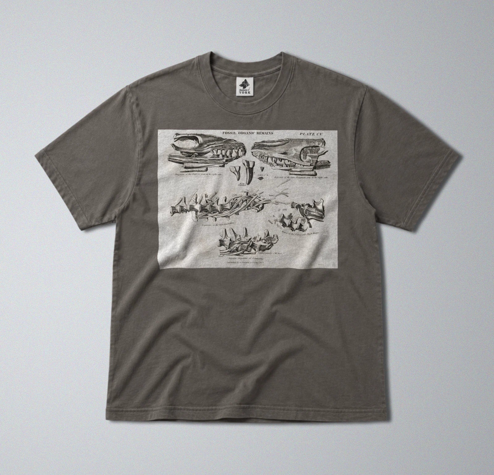 100% Cotton Tee - Regular Fit - Unisex - Prehistoric Mosasaurus Skull Fossil