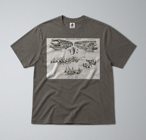 100% Cotton Tee - Regular Fit - Unisex - Prehistoric Mosasaurus Skull Fossil