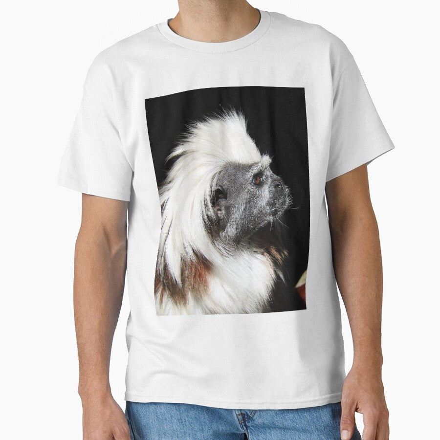 Cotton-top Tamarin by kirstybush