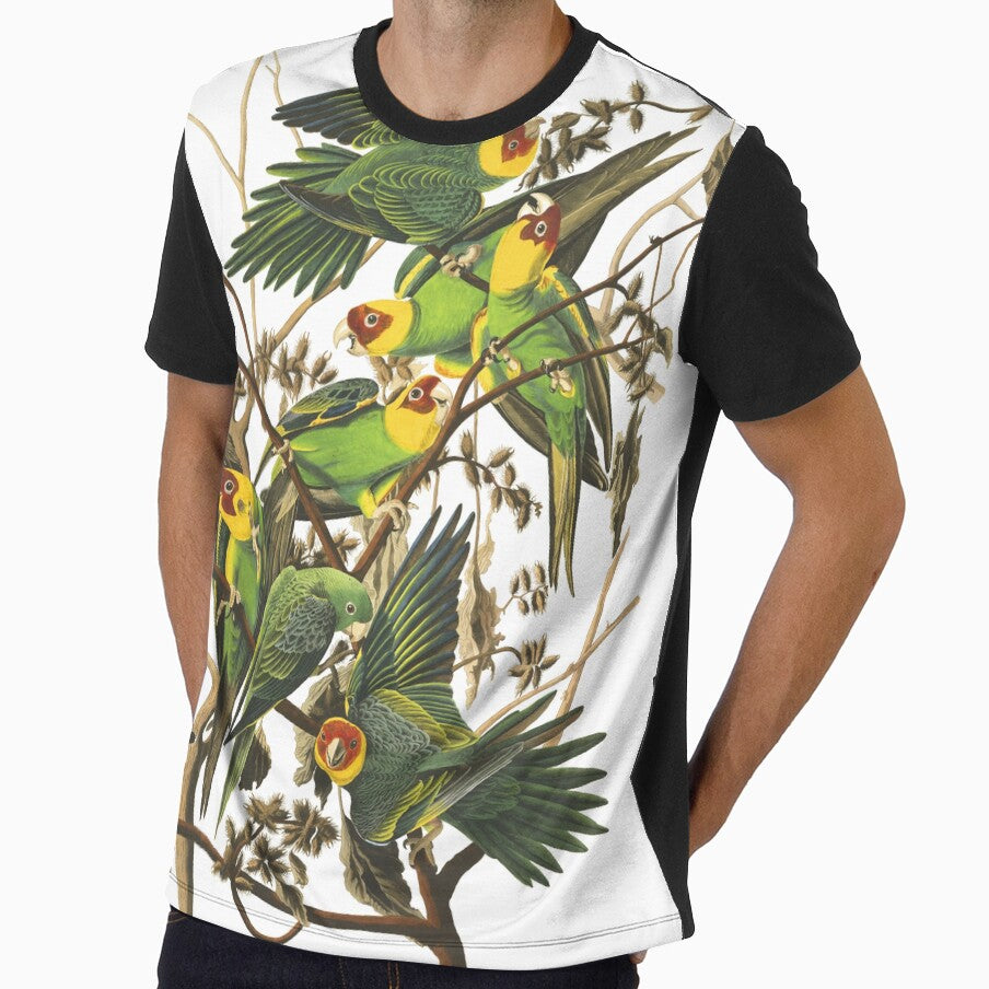Carolina Parakeet - John James Audubon by billythekidtees