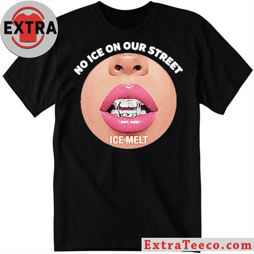 Alex Jeffery Pretti No ICE On Our Street ICE Melt 2026 T-Shirt