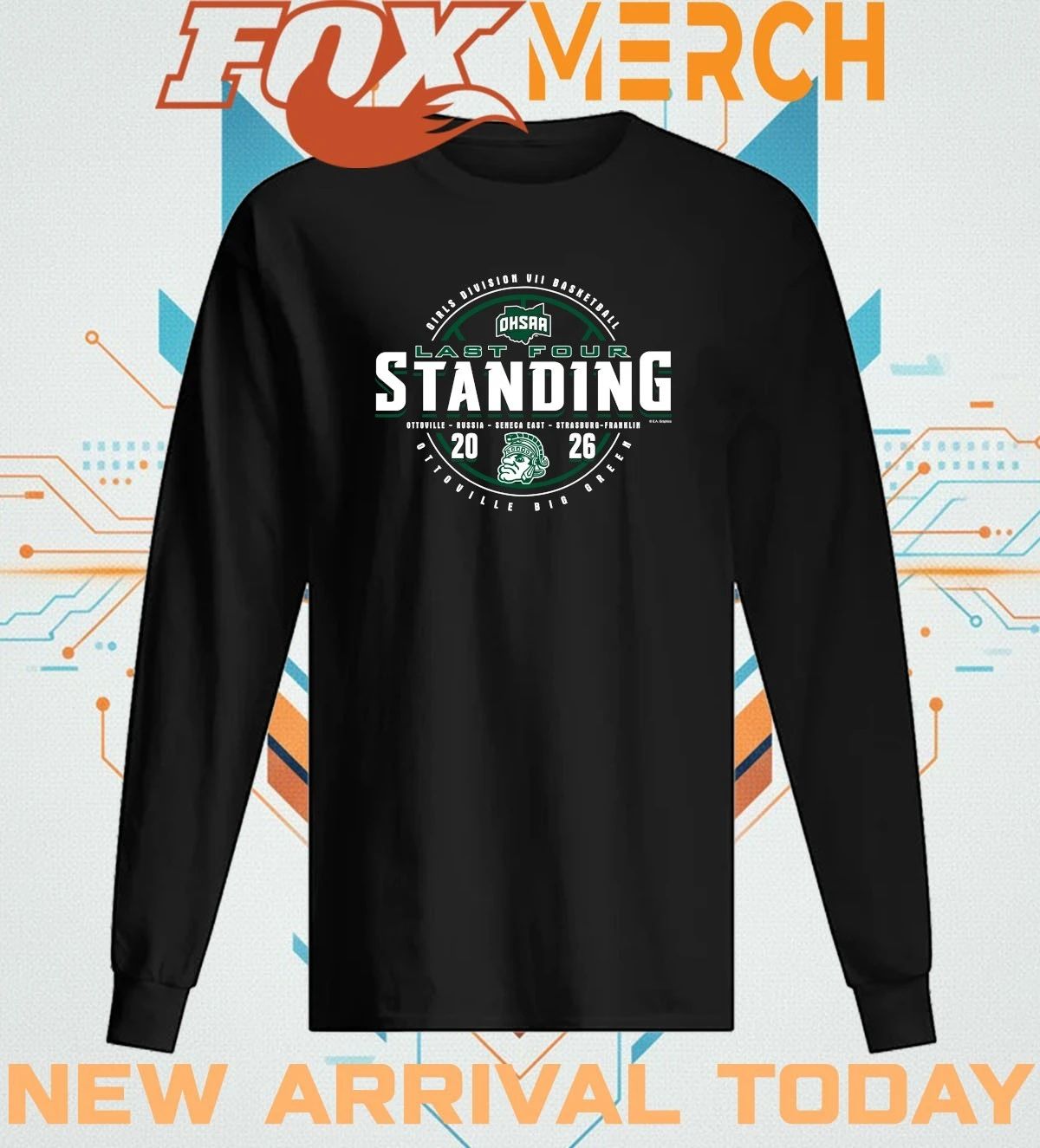 Ottoville Big Green 2026 OHSAA Girls Basketball DVII Last Four Standing t-shirt